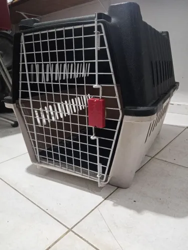 Caixa de cão e gato para transporte grande.