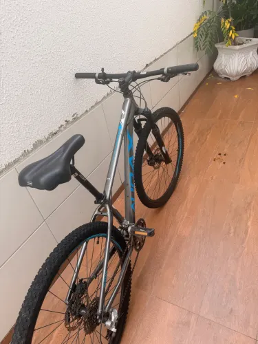 Bicicleta audax