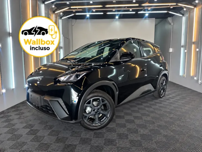 BYD Dolphin Mini (Elétrico) 2027