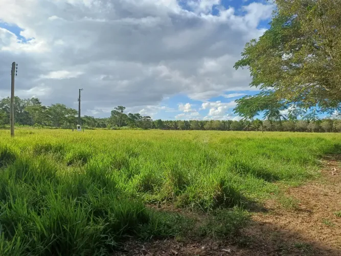 propiedade excelente para plantio de café