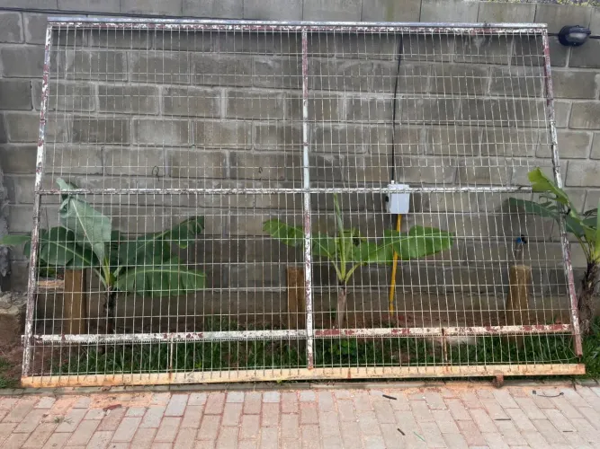 Portão de Ferro com Grade