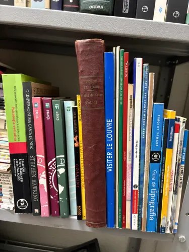 Lote de livros variados
