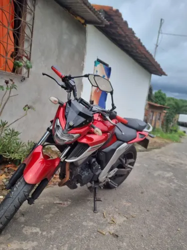 Fx 25 2019