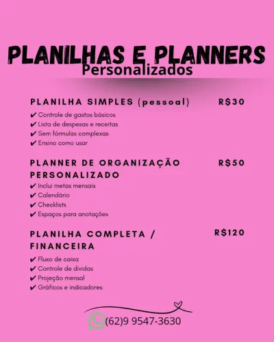Planner Financeiro Personalizado + planilha de organização 