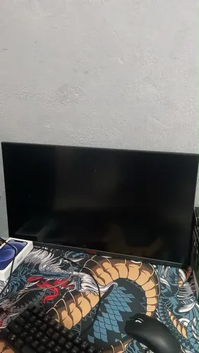 Monitor pc gamer