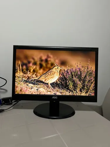 Monitor AOC 18,5 Polegadas