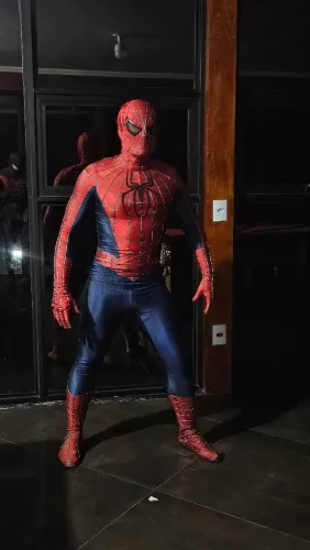 Homen Aranha personagem