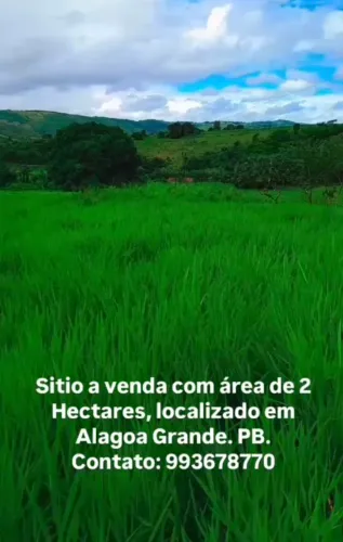 Sítio Disponível em Alagoa Grande 