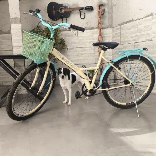 Bicicleta juvenil/adulto pequeno