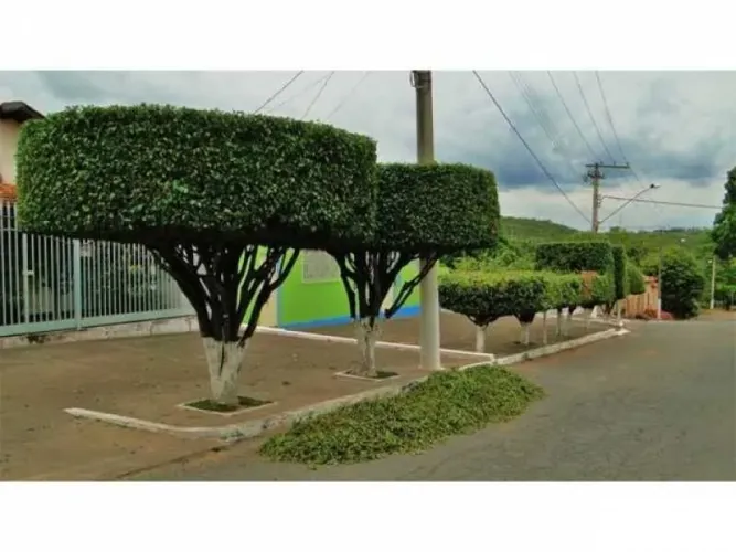Jardineiro Profissional - Valdomiro<br>