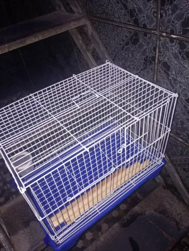 Gaiola para transporte pássaros
