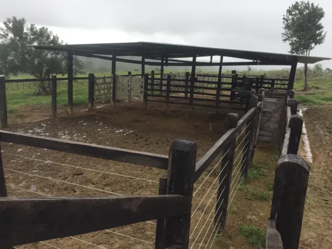 Fazenda com 714 tarefas para venda em Mundo Novo BA