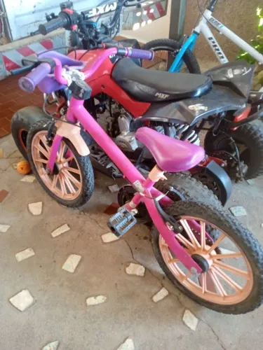 Vendo bicicleta infantil (bandeirante)