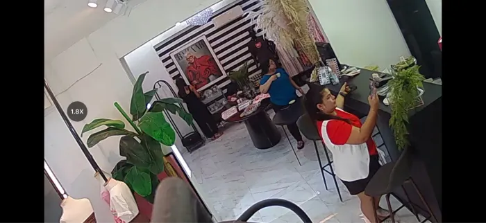 Consultora de Roupa feminina 