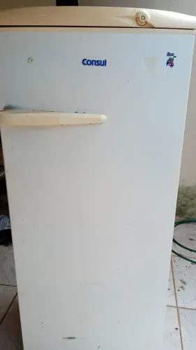 Geladeira 110v