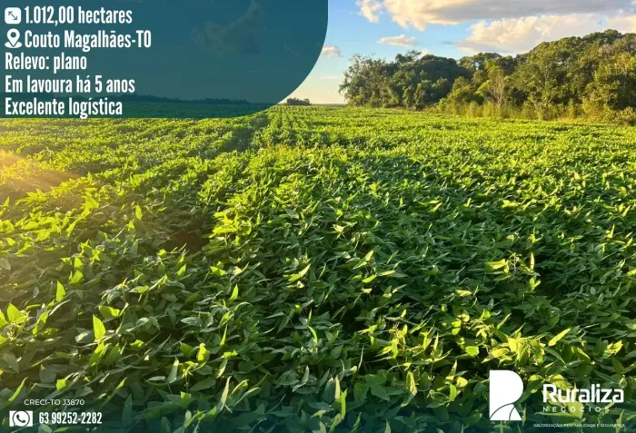 FAZENDA 209 ALQUEIRES | 500 HA AGRICULTÁVEIS | 6 KM DO ASFALTO