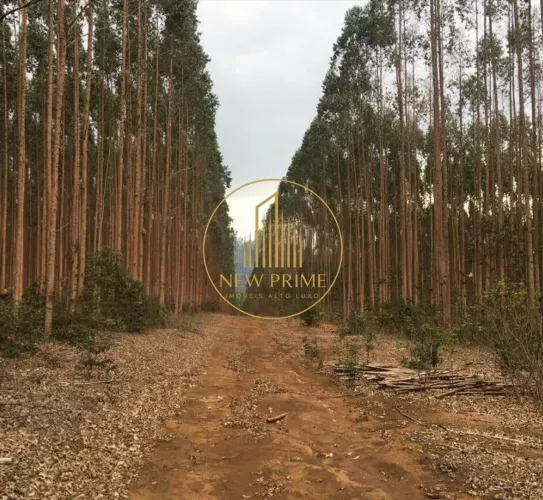 Fazenda à venda, 20 vagas, Centro - Montes Claros/MG