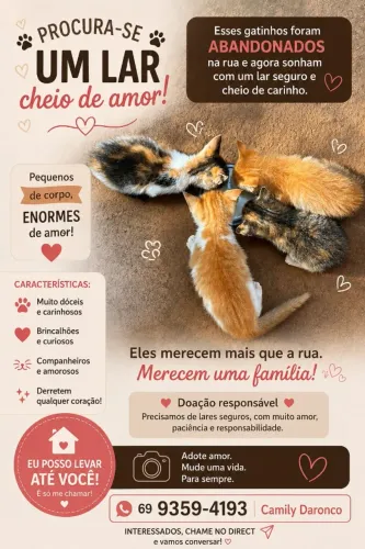 Doação Responsável.