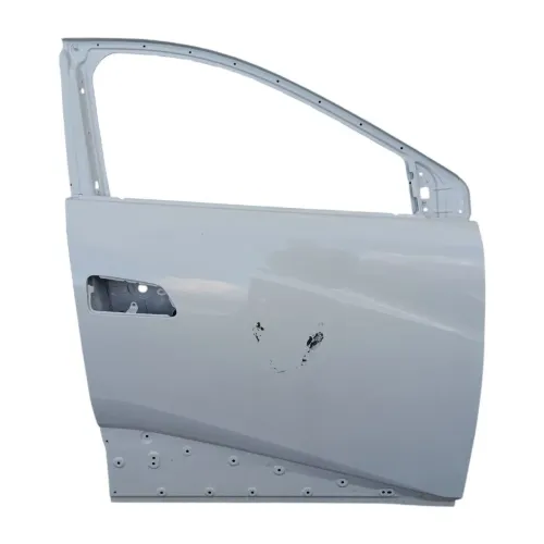 PORTA DIANTEIRA DIREITA DOLPHIN MINI 2024 2025