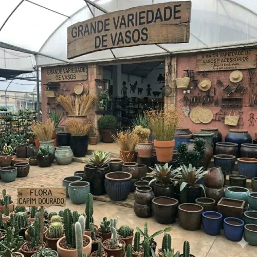 Jardinagem e paisagismo