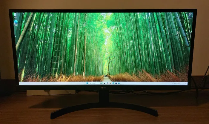 Monitor 29 Led Full hd Ultrawide 29wl500 Hdmi Hdr Ips LG Cor Preto