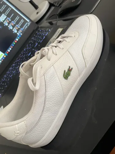 Tênis Lacoste original novo