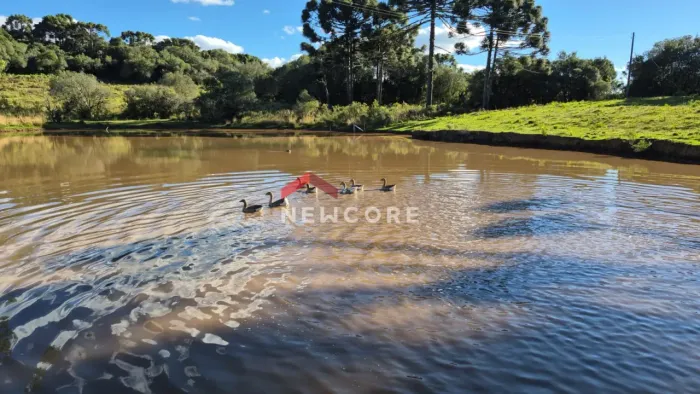 Chácara em Estrada Geral - Cazuza Ferreira - São Francisco de Paula/RS