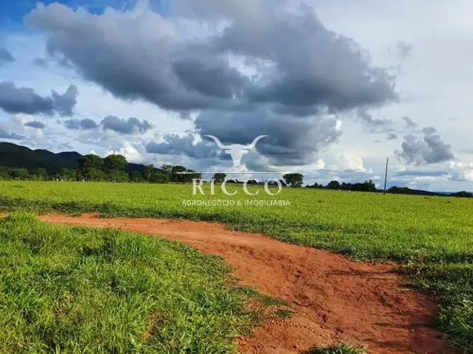 Oportunidade Extra: Fazenda de 70 Alqueires ! São Francisco de Goiás !