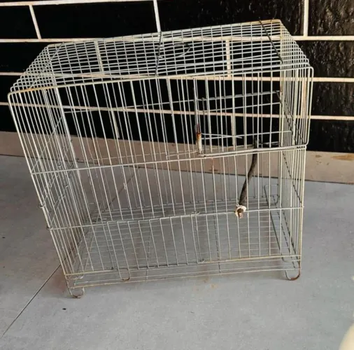 Gaiola para passaros