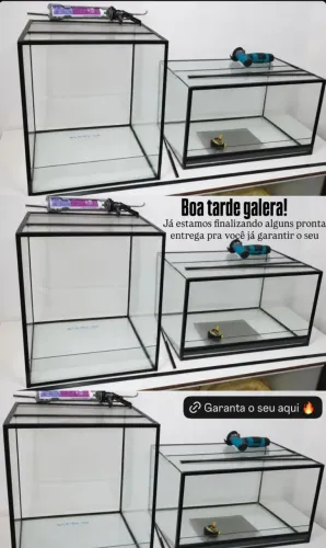 Terrarios