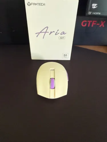 Aria XD7 Bege Purple