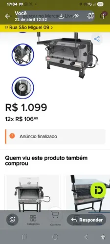 Forno pizza profissional