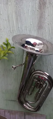 Tuba Weril Cruzeiro si bemol troco por 2 euphonium si bemol 