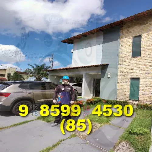 Dedetizacao contra morcegos e pombos com agilidade em Fortaleza!