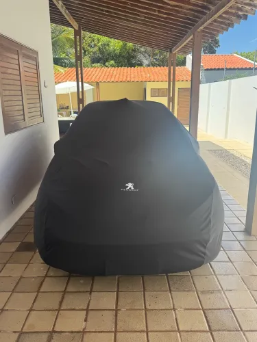 Peugeot 207 XR 1.4 Flex 8V 5P 2011