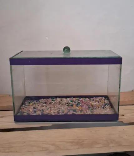 Aquário pequeno  