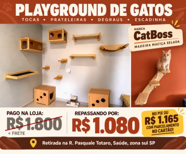 Oportunidade! Conjunto CatBoss Playground para Gatos Madeira Maciça Seminovo