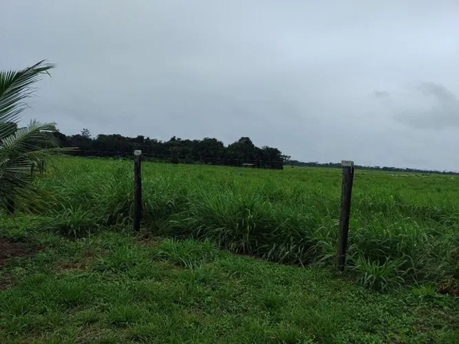 R$ 3.5 milhões de reais 9 lotes e meio na alça viaria