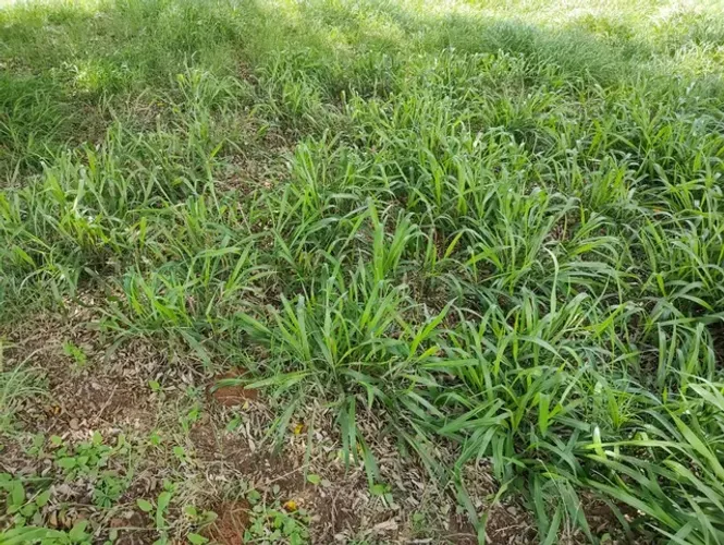 Fazenda em Rui Barbosa