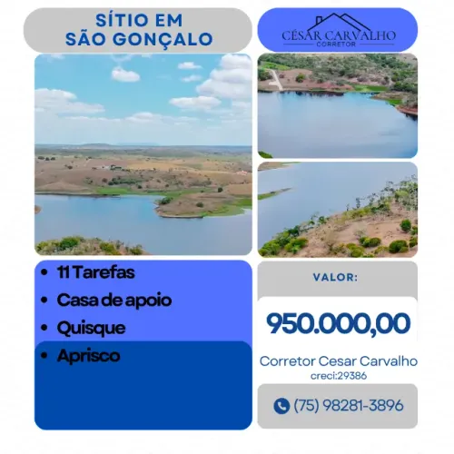 SÍTIO EM SÃO GONÇALO - 11 TAREFAS