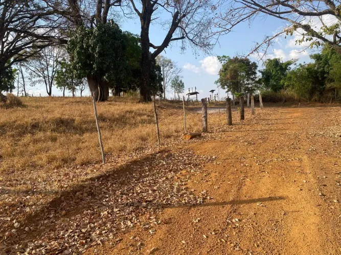 Aluga-se terrenos comerciais e pasto urbana direto asfalto BR 153 Jaiara/ Anapolis 