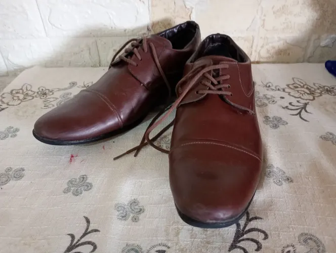 Sapato masculino marrom social