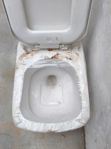 Sanitário