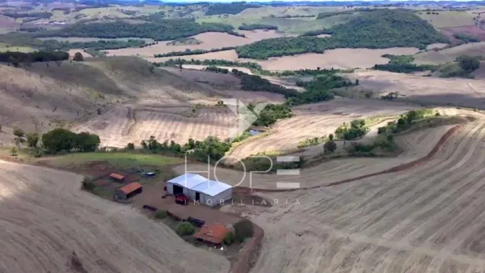Fazenda à venda terra roxa 116.5 Alqueires com lavoura e pasto  Apucarana PR