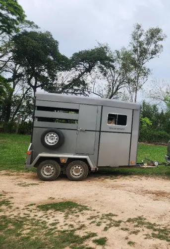 Transporte Cavalos e outros - Frete para equinos