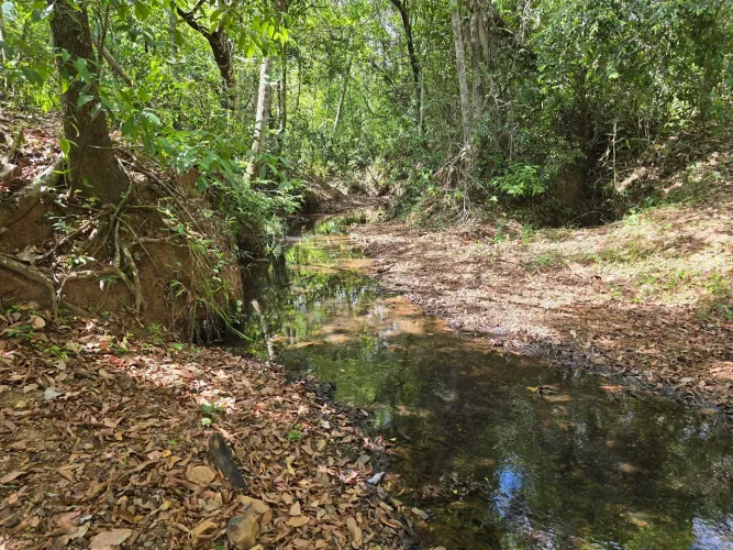 Chacara 2.000mt em crominia só 49 mil avista ac veículos