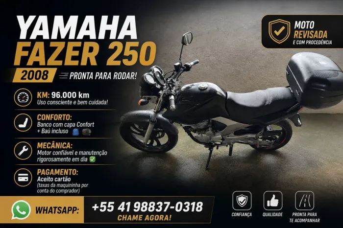 Fazer 2008