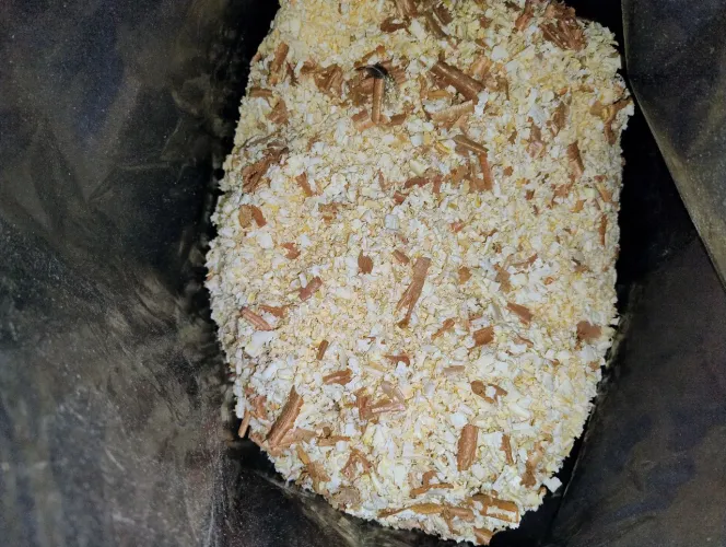 5 kg Serragem prensada para hamster, aves...