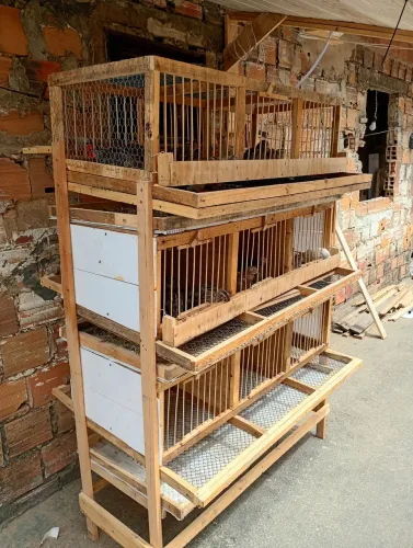 Gaiola para codorna