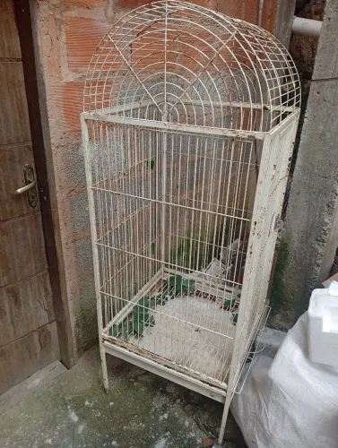 Gaiola